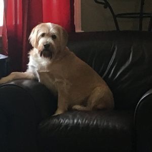 Meet your Posher, Terry